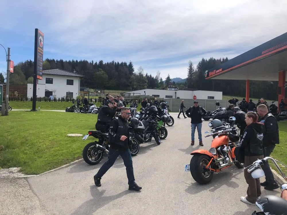 1 mai base wp