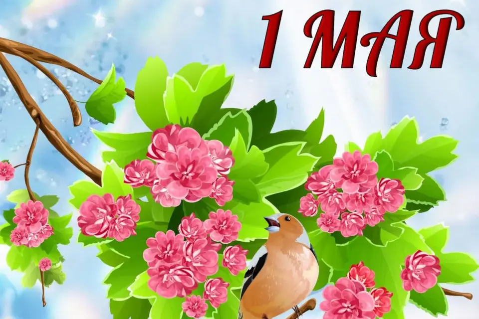 1 мая &mdash; DE news