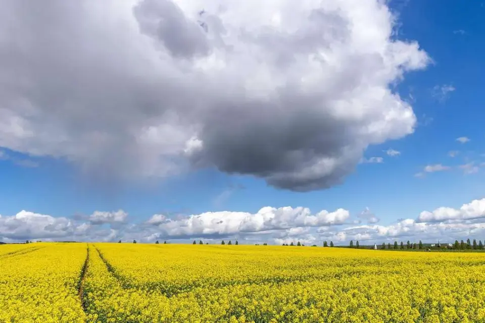 bauernregel &mdash; DE news