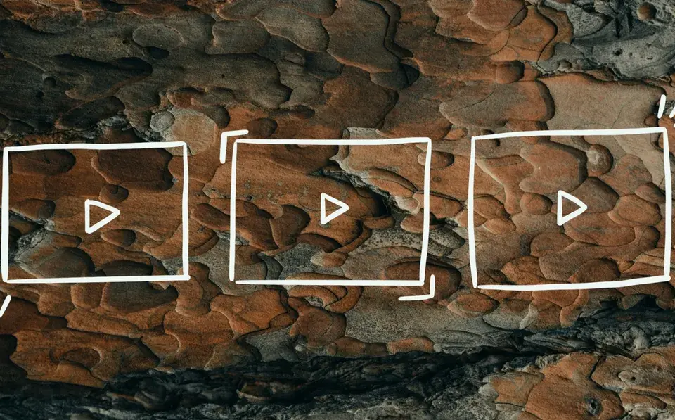 course &mdash; DE news