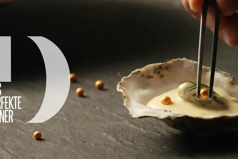 das perfekte dinner &mdash; DE news