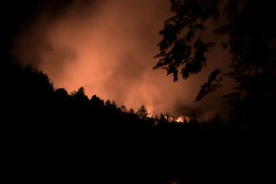 waldbrand b&ouml;hmische schweiz &mdash; DE news