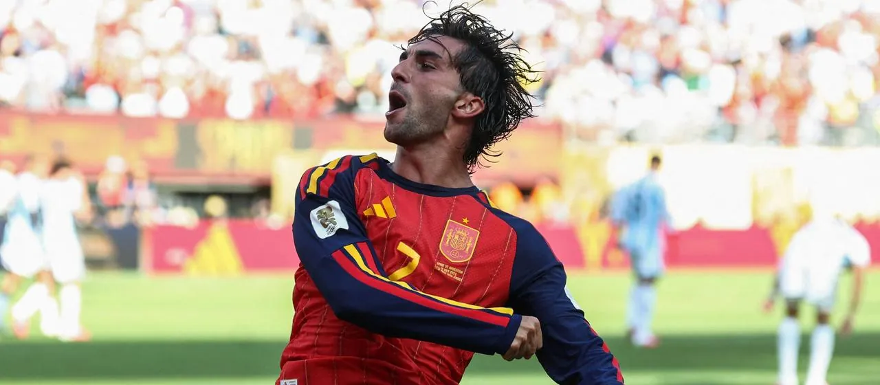 Ferran Tores bejubelt sein Tor f&uuml;r Spanien im WM-Finale gegen Argentinien